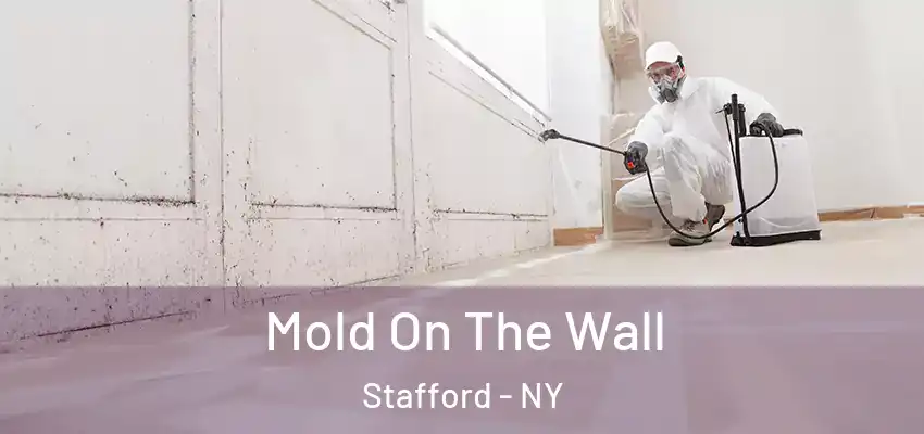  Mold On The Wall Stafford - NY