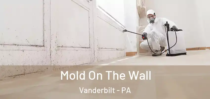  Mold On The Wall Vanderbilt - PA
