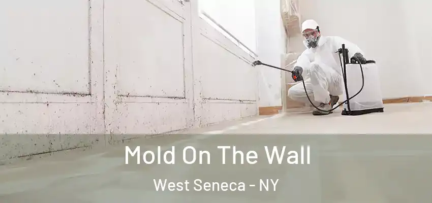  Mold On The Wall West Seneca - NY