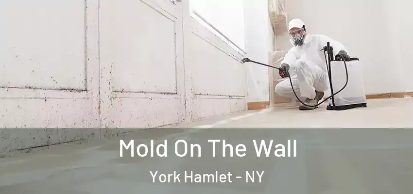  Mold On The Wall York Hamlet - NY