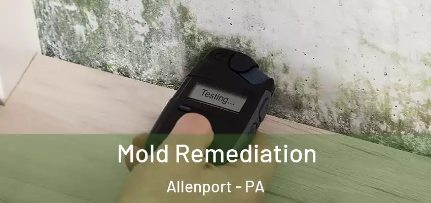  Mold Remediation Allenport - PA