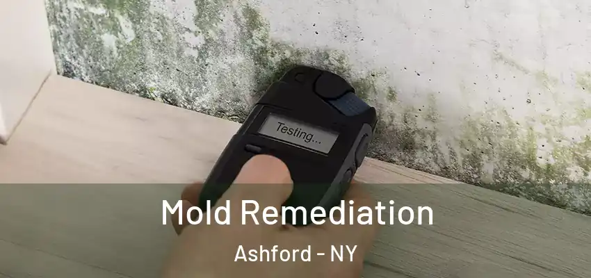 Mold Remediation Ashford - NY