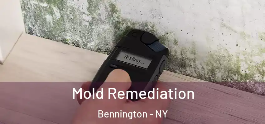  Mold Remediation Bennington - NY