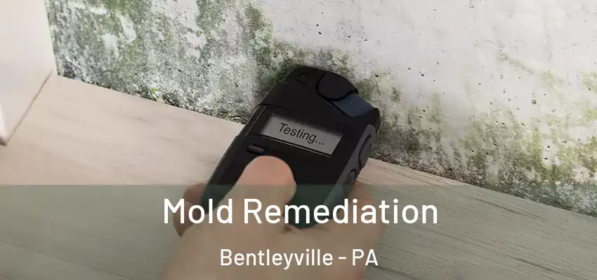  Mold Remediation Bentleyville - PA