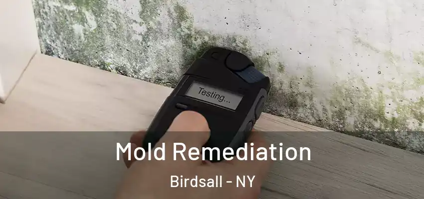  Mold Remediation Birdsall - NY