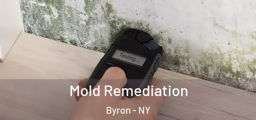  Mold Remediation Byron - NY