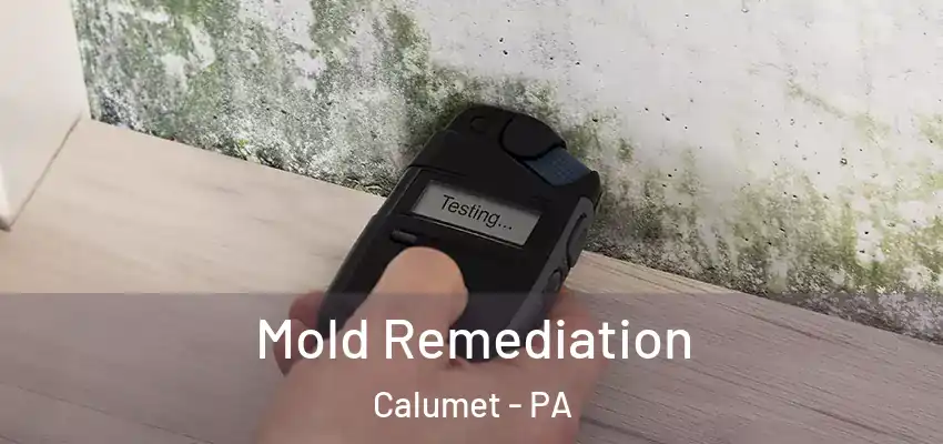 Mold Remediation Calumet - PA