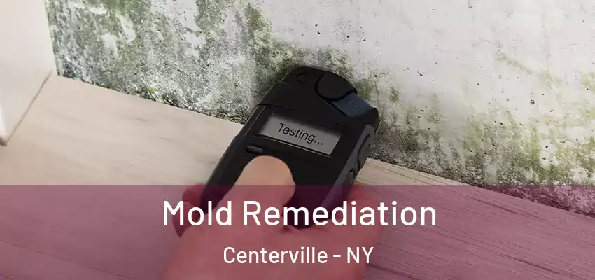  Mold Remediation Centerville - NY