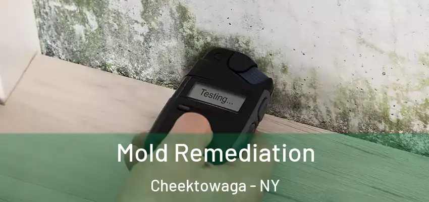  Mold Remediation Cheektowaga - NY