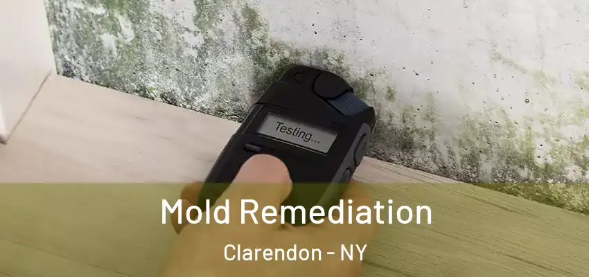  Mold Remediation Clarendon - NY