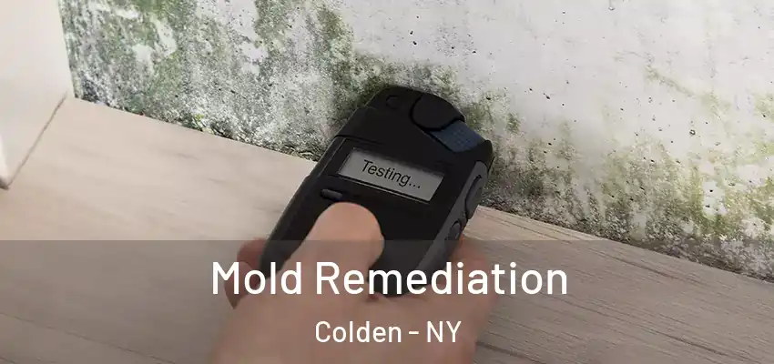  Mold Remediation Colden - NY
