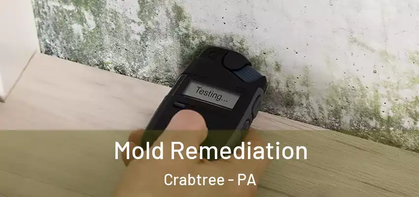 Mold Remediation Crabtree - PA