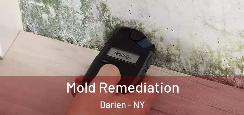  Mold Remediation Darien - NY