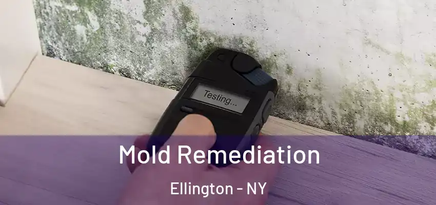  Mold Remediation Ellington - NY