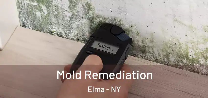  Mold Remediation Elma - NY