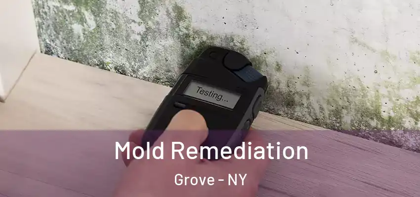  Mold Remediation Grove - NY