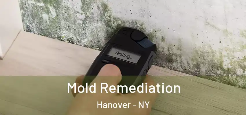  Mold Remediation Hanover - NY