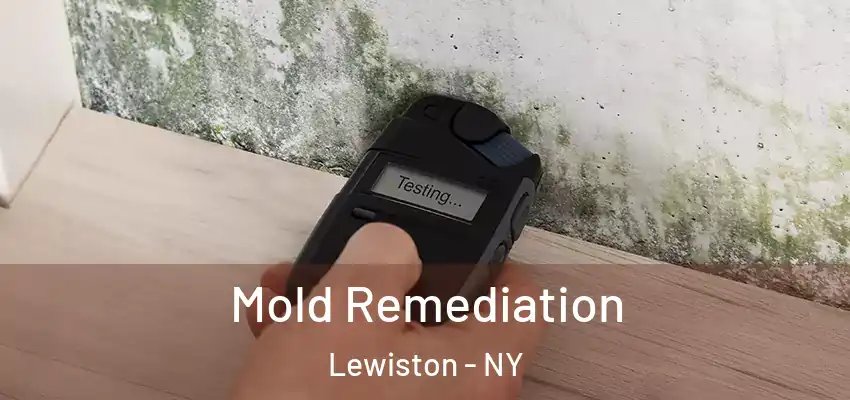  Mold Remediation Lewiston - NY