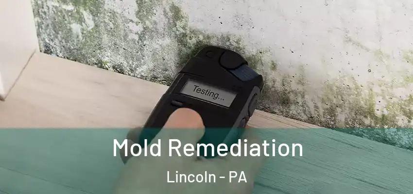  Mold Remediation Lincoln - PA