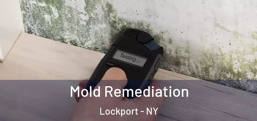  Mold Remediation Lockport - NY