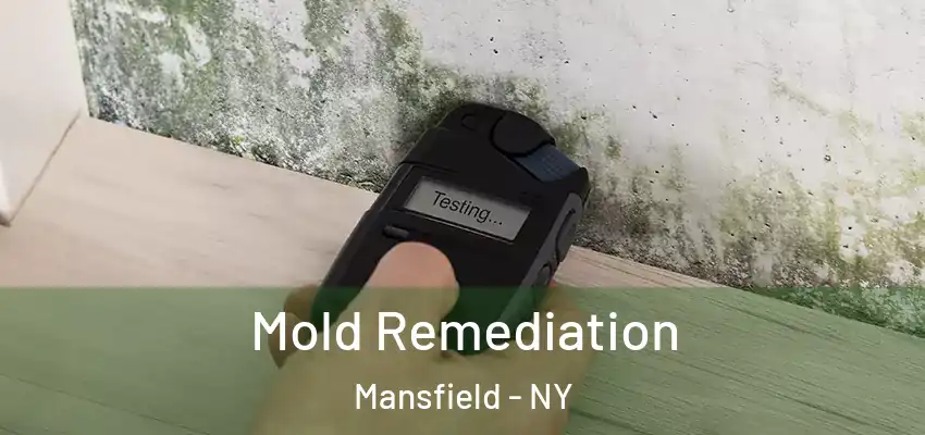  Mold Remediation Mansfield - NY