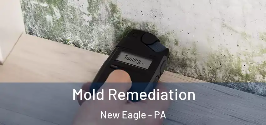  Mold Remediation New Eagle - PA