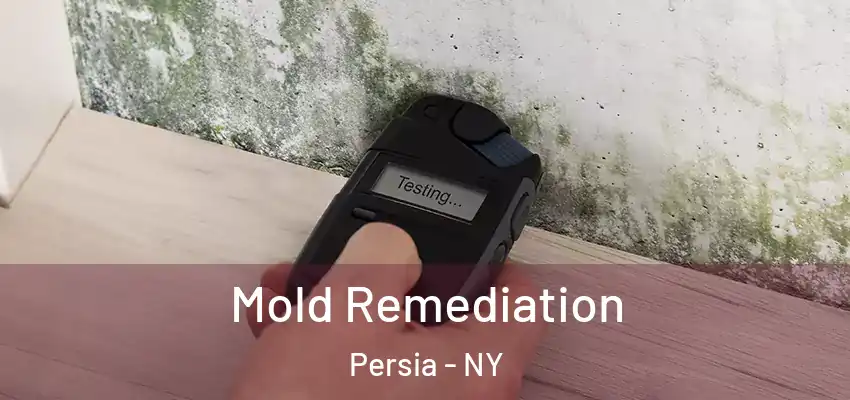  Mold Remediation Persia - NY