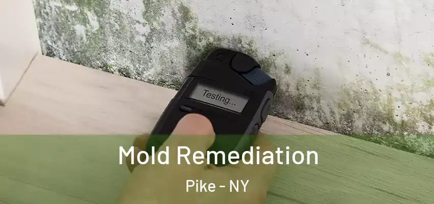  Mold Remediation Pike - NY