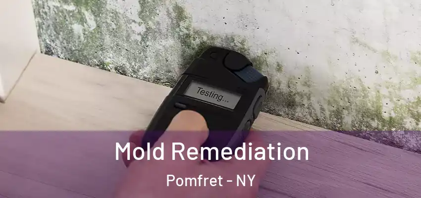  Mold Remediation Pomfret - NY