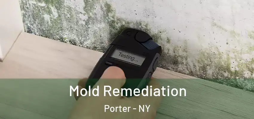  Mold Remediation Porter - NY