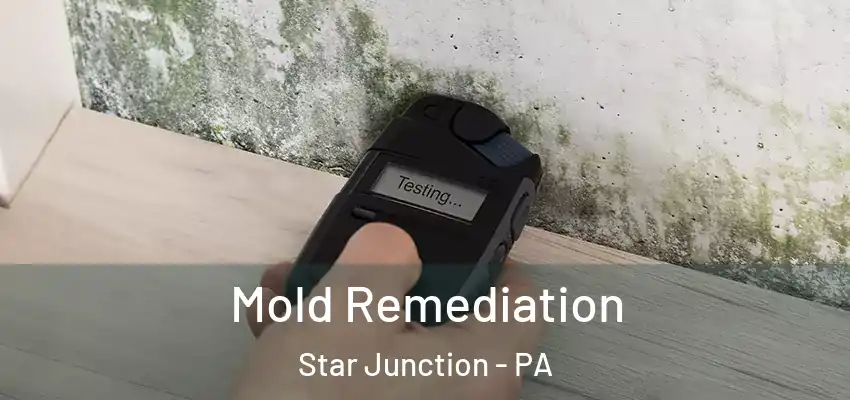  Mold Remediation Star Junction - PA