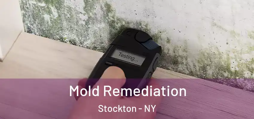  Mold Remediation Stockton - NY