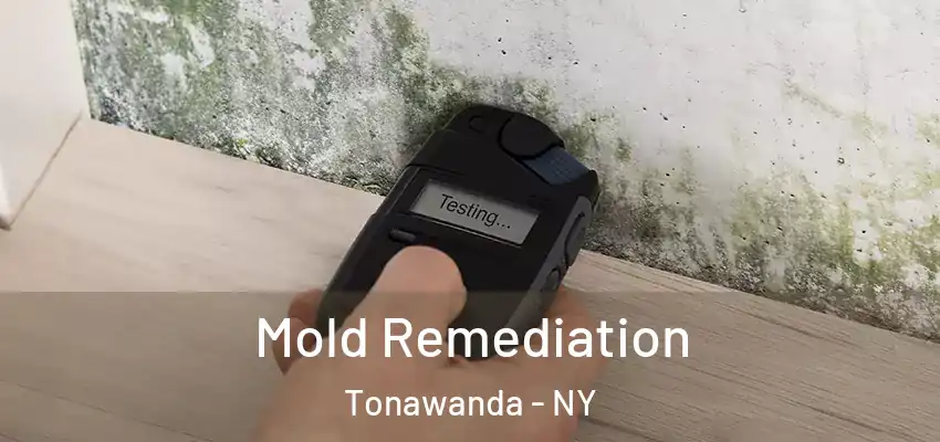  Mold Remediation Tonawanda - NY