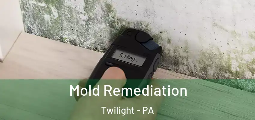  Mold Remediation Twilight - PA