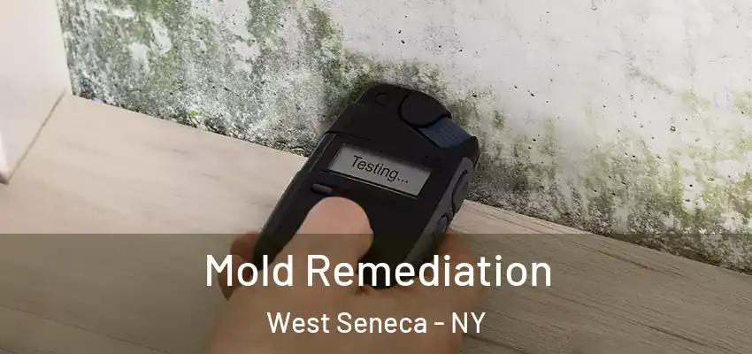  Mold Remediation West Seneca - NY