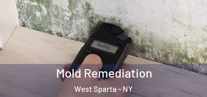  Mold Remediation West Sparta - NY