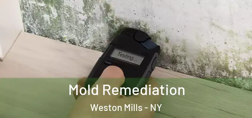  Mold Remediation Weston Mills - NY