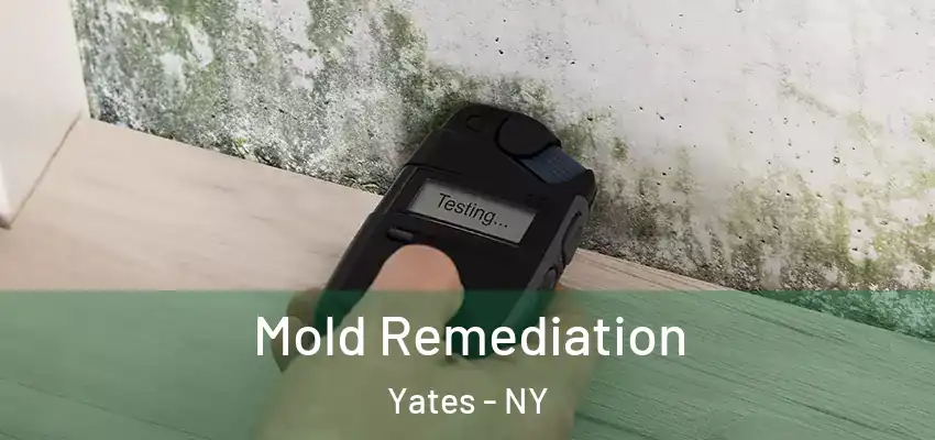  Mold Remediation Yates - NY