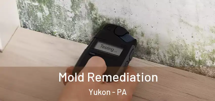  Mold Remediation Yukon - PA