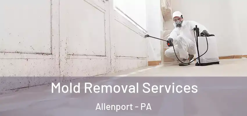  Mold Removal Services Allenport - PA