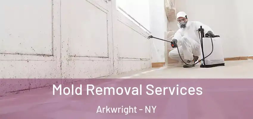  Mold Removal Services Arkwright - NY