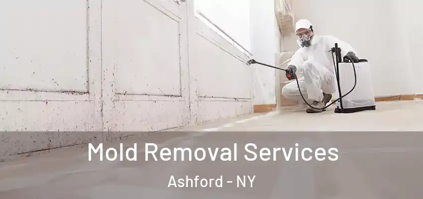  Mold Removal Services Ashford - NY