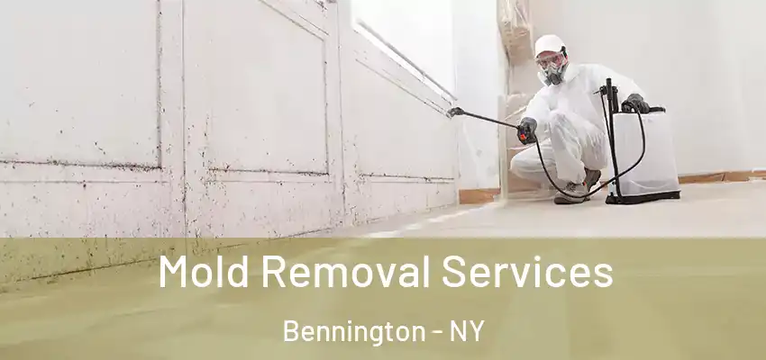  Mold Removal Services Bennington - NY