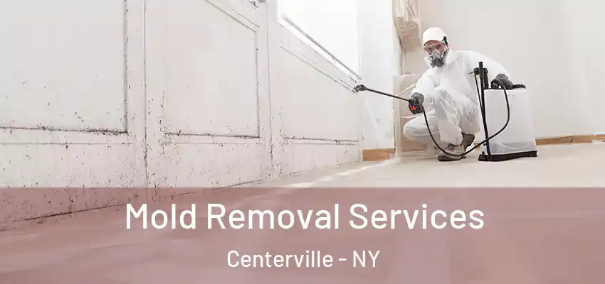  Mold Removal Services Centerville - NY