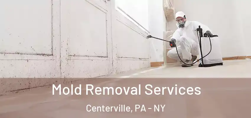  Mold Removal Services Centerville, PA - NY