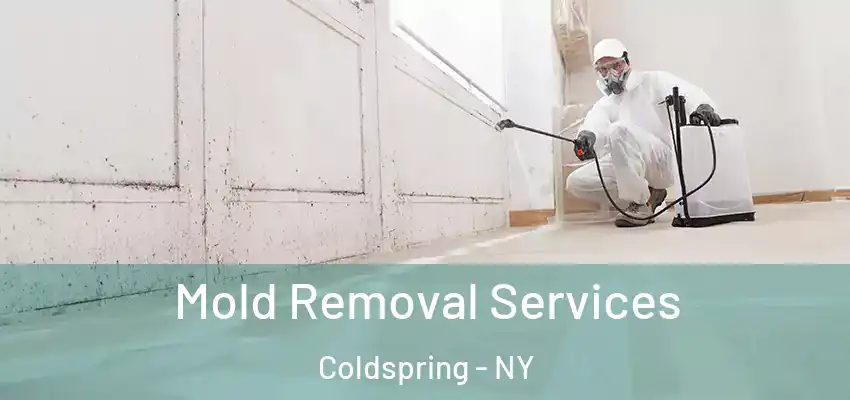  Mold Removal Services Coldspring - NY