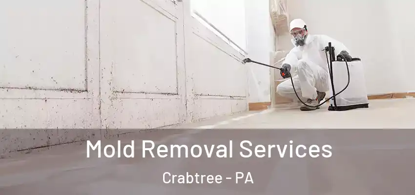  Mold Removal Services Crabtree - PA