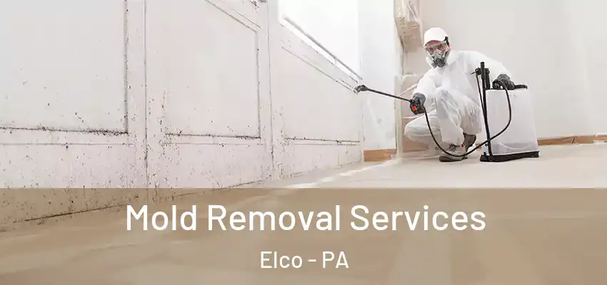  Mold Removal Services Elco - PA