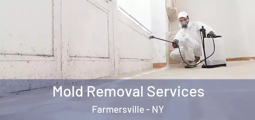  Mold Removal Services Farmersville - NY
