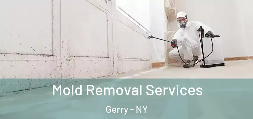  Mold Removal Services Gerry - NY